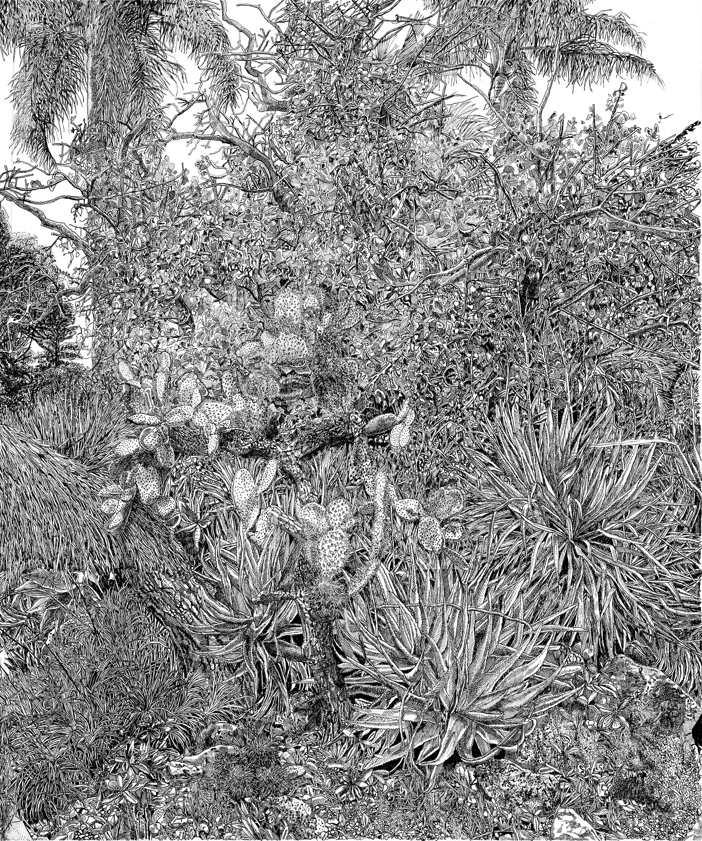 'Royal Botanical Garden Study' (2024 - Framed)
